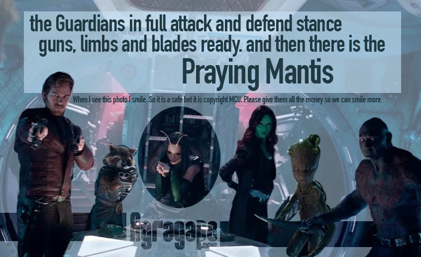 The Guardians of the Galaxy