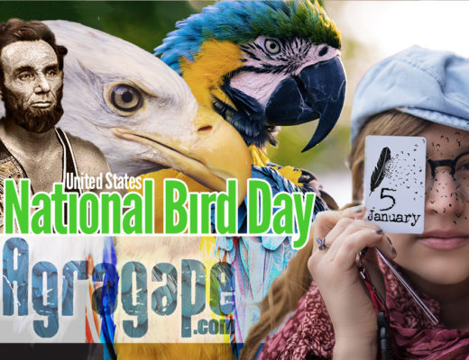 National Bird Day